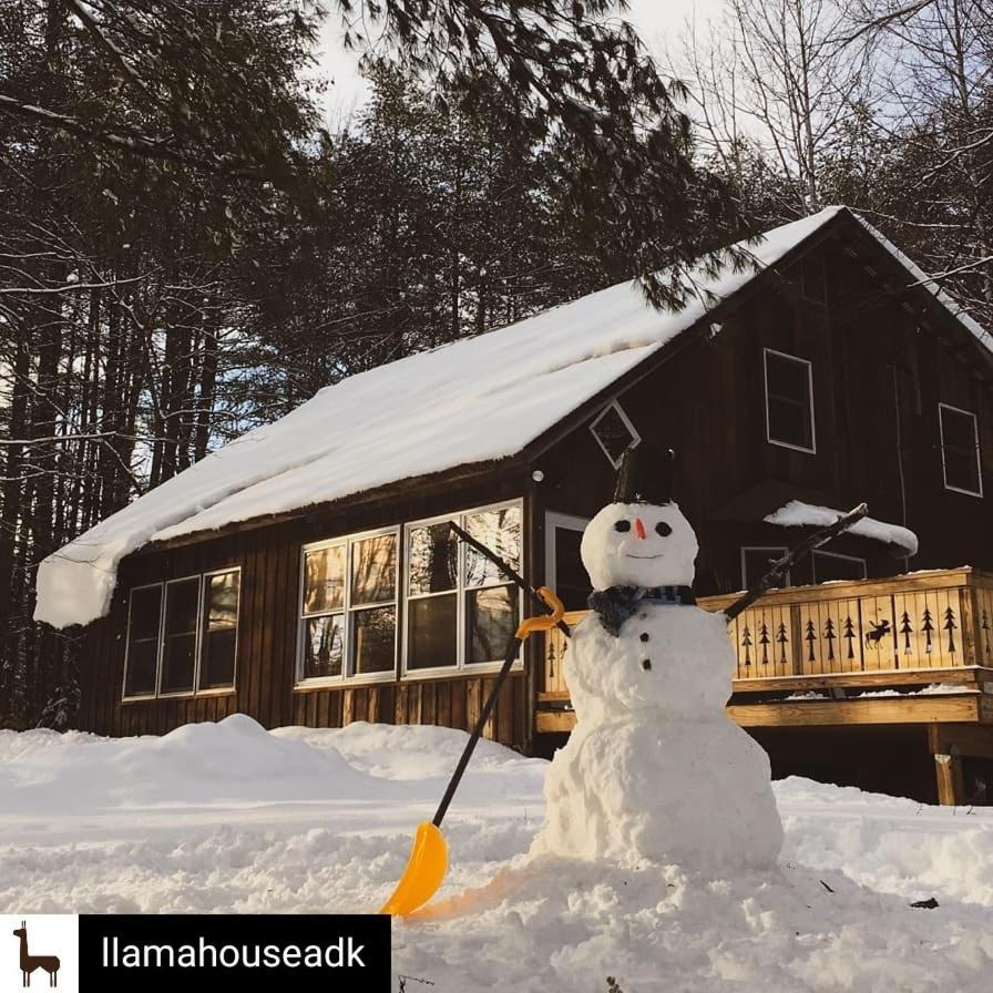 Llama House Adk Wevertown Exteriör bild